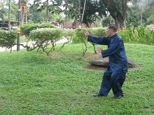 Wu Yu Xiang Style Taijiquan